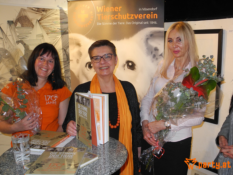 Bild 51