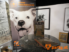 Bild 19