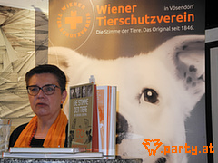 Bild 47