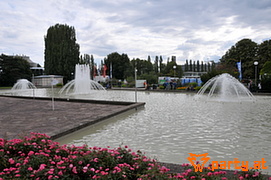Bild 77