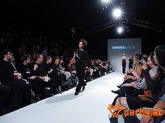Bild 62