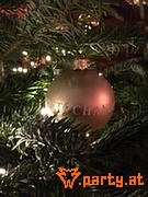 Bild 51