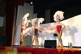Bild 95