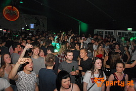 Bild 117