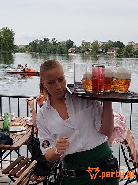 Bild 17
