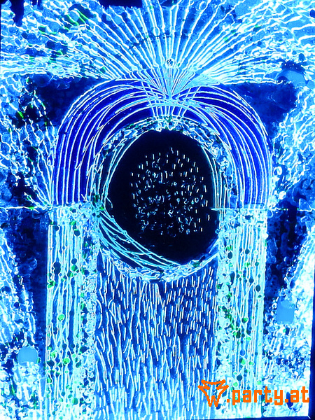 Bild 36