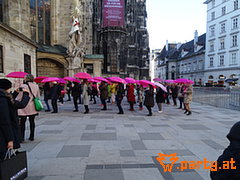 Bild 32