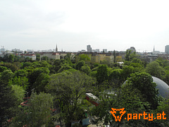 Bild 21