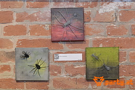 Bild 29