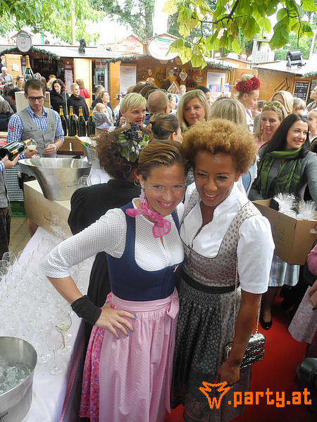 Bild 15