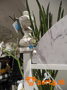 Bild 46