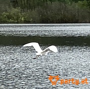 Bild 59
