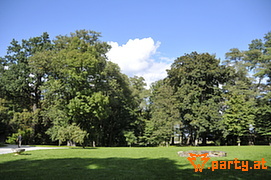 Bild 210