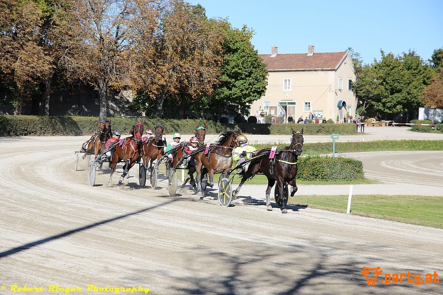 Bild 29