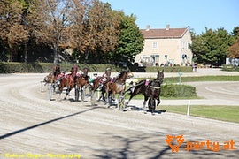 Bild 29