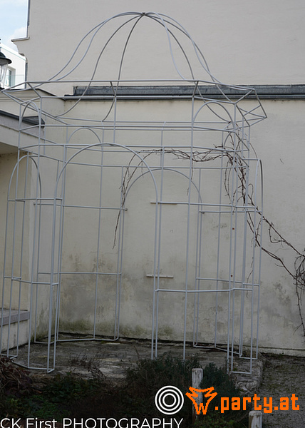 Bild 51