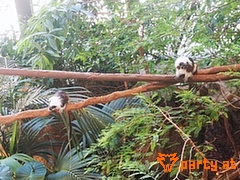 Bild 22