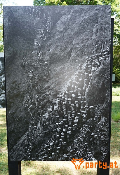 Bild 244
