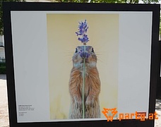 Bild 76