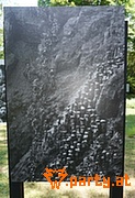 Bild 244