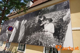 Bild 254