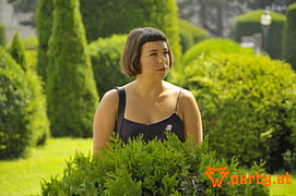Bild 36