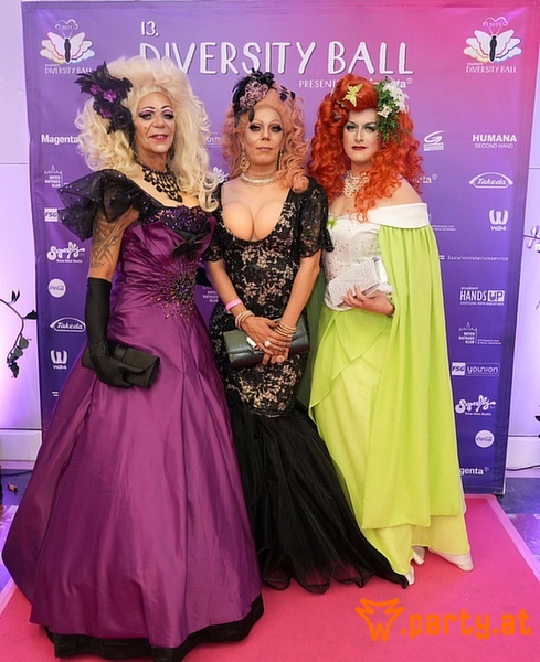 Bild 57 - 13. Diversity Ball – We still have a dream, KURSALON HÜBNER Bild 57