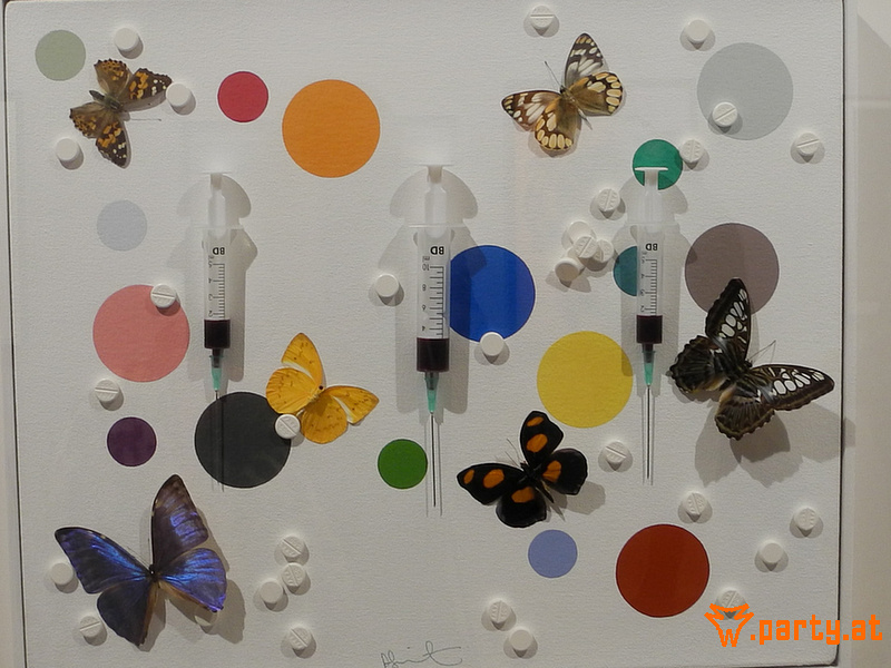 Bild 51