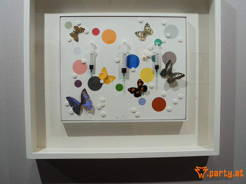 Bild 52