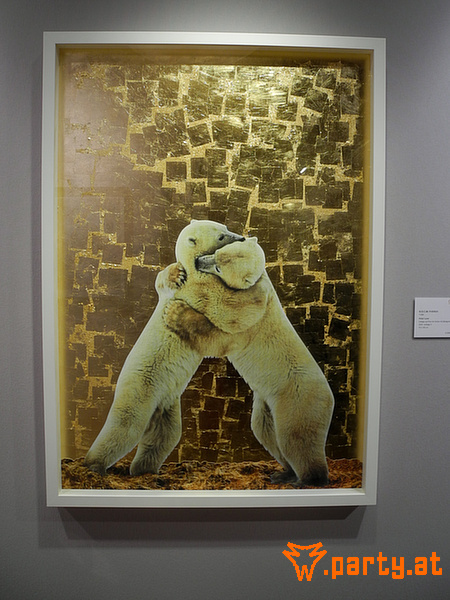 Bild 55