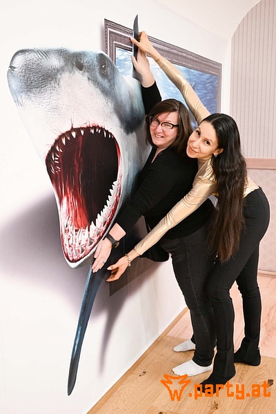 Bild 52