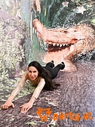 Bild 41