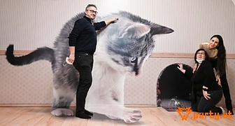 Bild 43
