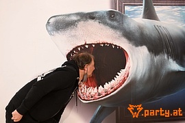 Bild 46