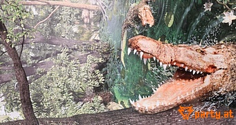 Bild 51