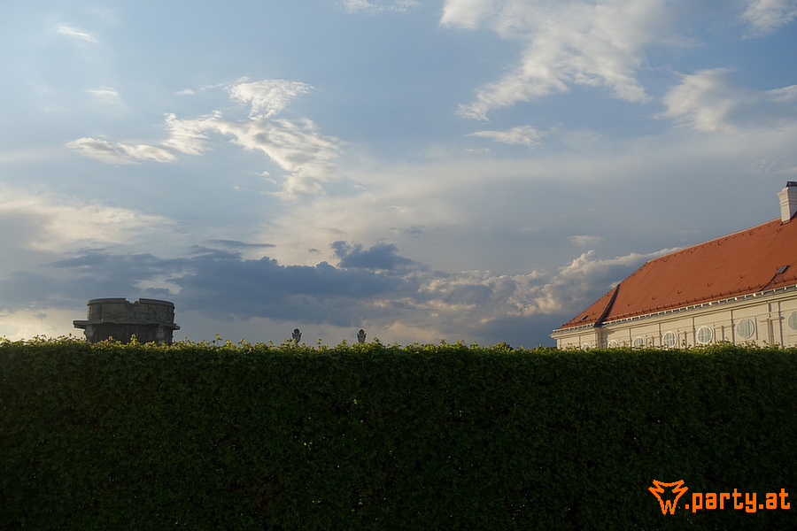 Bild 41