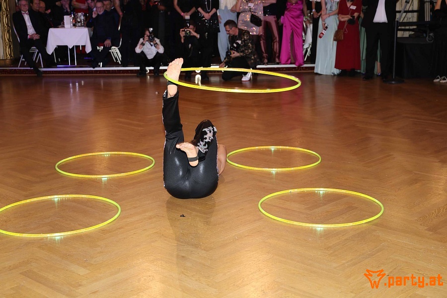 Bild 135 - 25. Regenbogenball, Parkhotel Schönbrunn Bild 135