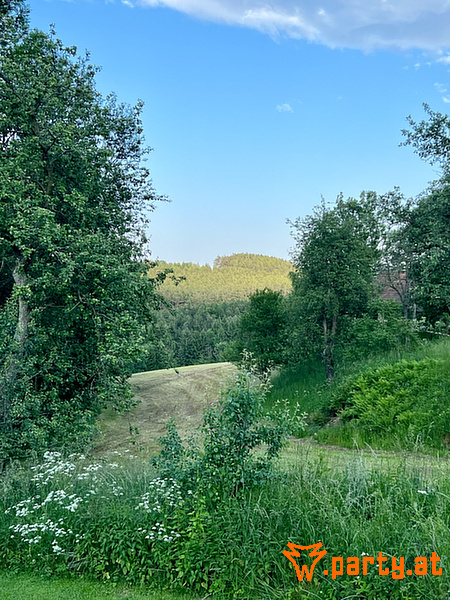 Bild 93
