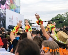 Bild 42