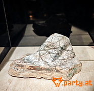 Bild 23