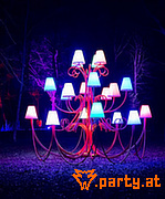 Bild 66