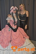 Bild 81