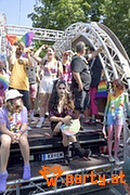 Bild 81
