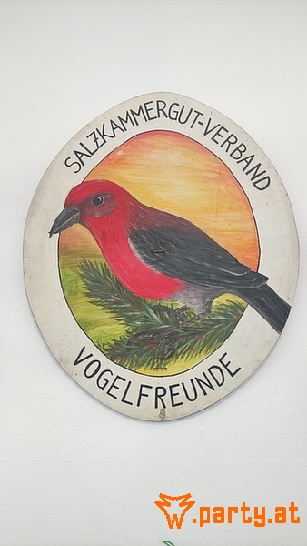Bild 28