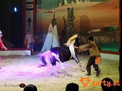 Bild 22