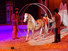 Bild 33