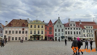 Bild 15