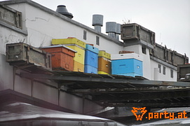 Bild 29