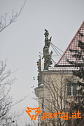 Bild 50