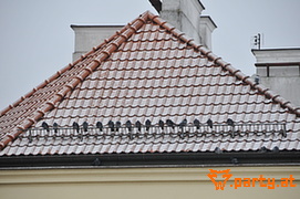 Bild 52